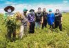 Kolaborasi TaniHub dan Garuda Food Berdayakan Petani Kacang Tanah